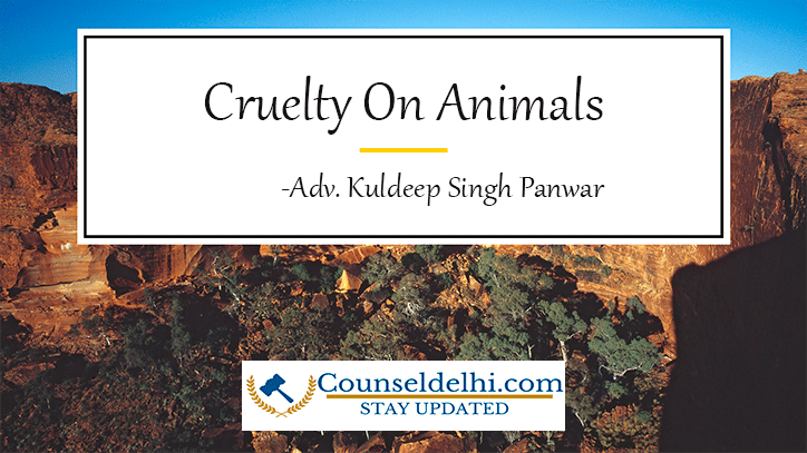 cruelty on animals